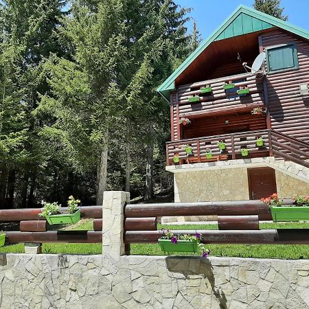 Tanjuska Villa Žabljak Kültér fotó