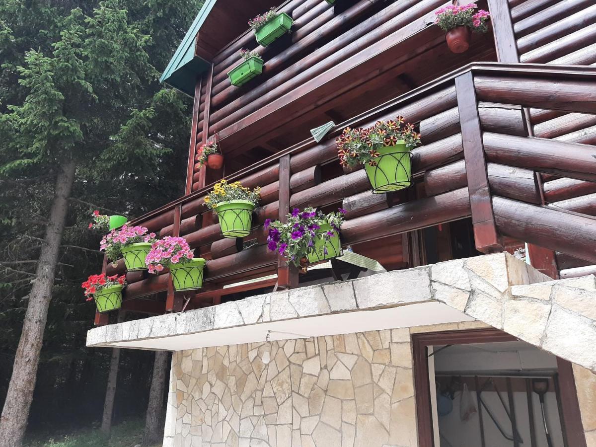 Tanjuska Villa Žabljak Kültér fotó