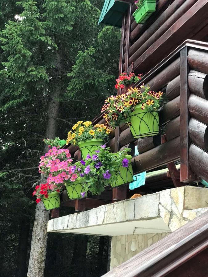 Tanjuska Villa Žabljak Kültér fotó