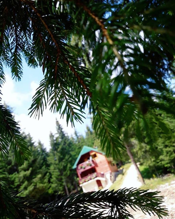 Tanjuska Villa Žabljak Kültér fotó